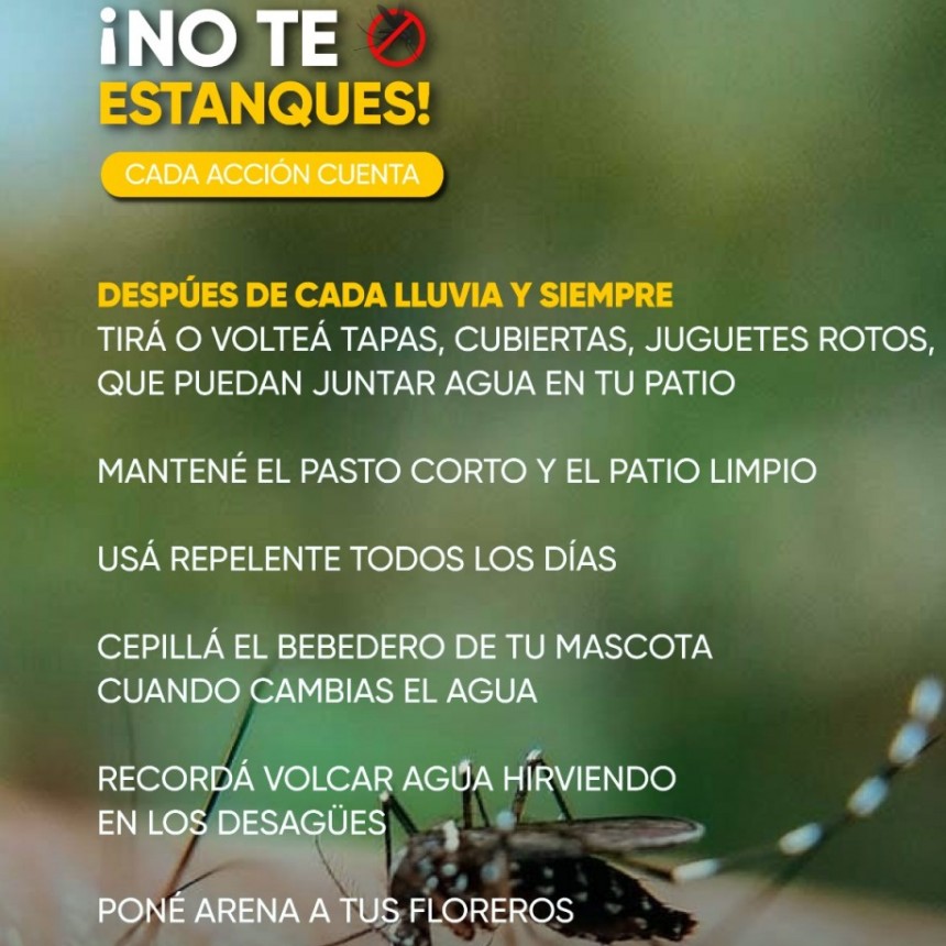 Acciones simples y efectivas para prevenir el DENGUE