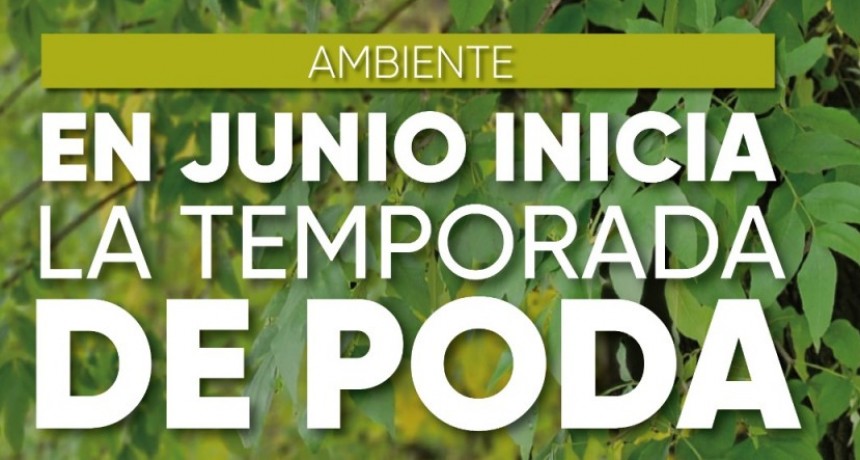 En JUNIO comienza la temporada de poda  