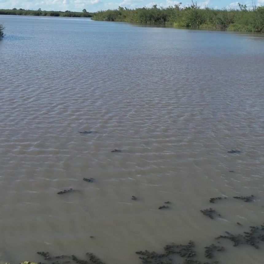 BUSCAN A UN HOMBRE DESAPARECIDO EN UNA LAGUNA DE GILBERT