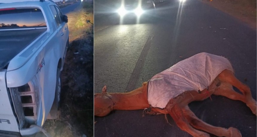 Una camioneta de Urdinarrain chocó contra un caballo en el acceso a Gualeguaychú