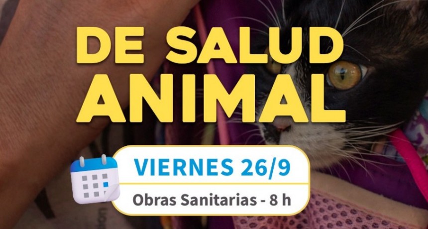 En Urdinarrain; Nueva jornada de Salud Animal - Jornada de Castración Gratuita