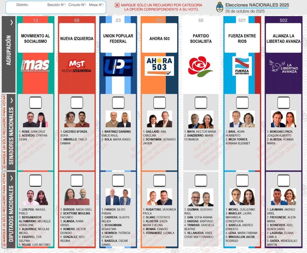 ESTE DOMINGO 26 ELECCIONES LEGISLATIVAS 2025