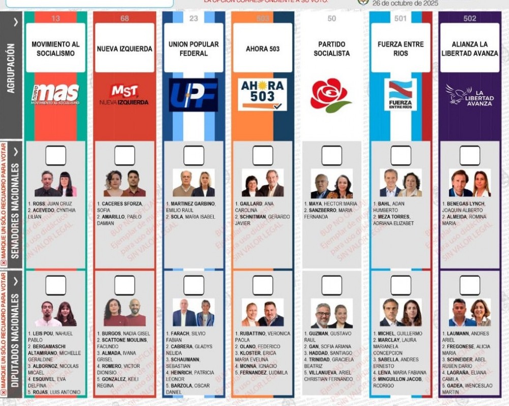 ESTE DOMINGO 26 ELECCIONES LEGISLATIVAS 2025