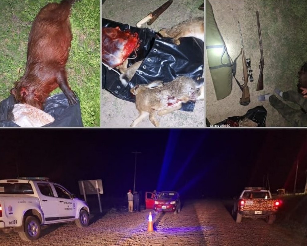 En Urdinarrain detienen a tres hombres por tenencia ilegal de armas de fuego