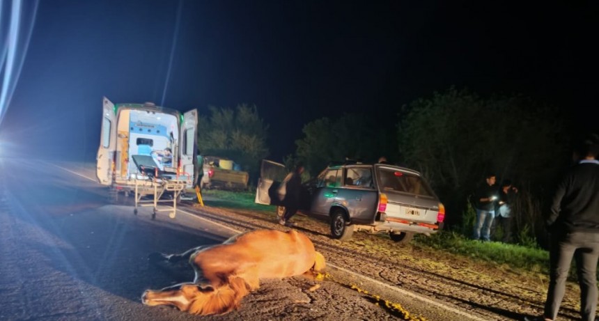 🚨 Accidente en Ruta 20: un vehículo embistió a dos equinos al norte de Urdinarrain