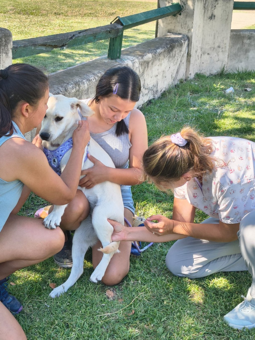 EPA | Durante el año se atendió a unas 1000 mascotas